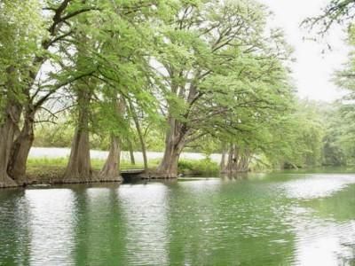 Farm Property in Real County, Texas