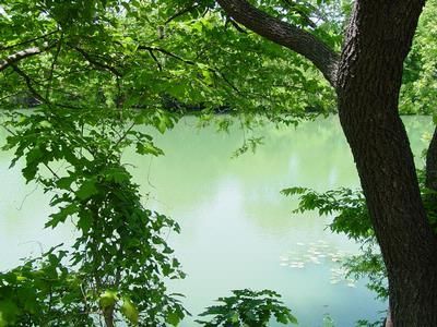 Recreational Property in Menard County, Texas