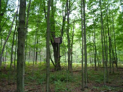 Farm Property in Tuscola County, Michigan
