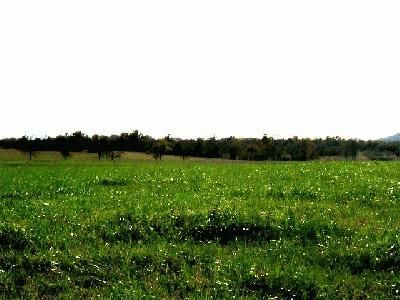 Farm Property in Pittsburg County, Oklahoma