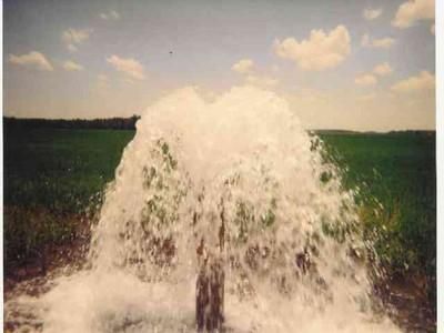 Ranch Property in Saint Francis County, Arkansas