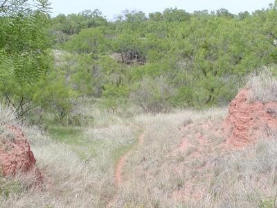 Farm Property in Runnels County, Texas
