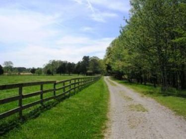 Property in Hardeman County, Tennessee