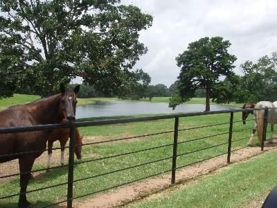 Farm Property in Upshur County, Texas
