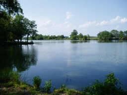 Lakefront Property in Walker County, Texas