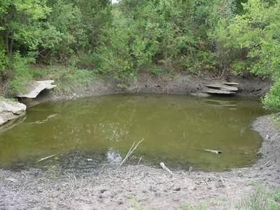 Farm Property in Callahan County, Texas