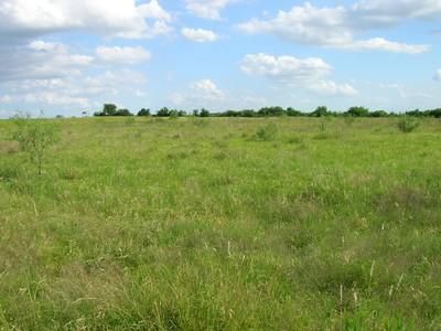 Farm Property in Bell County, Texas