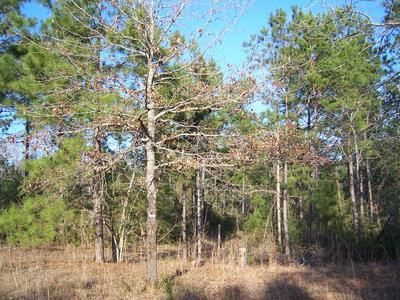 Ranch Property in Pearl River County, Mississippi