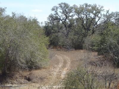 Farm Property in Goliad County, Texas