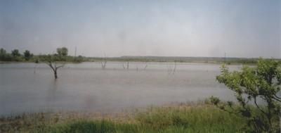 Farm Property in Runnels County, Texas