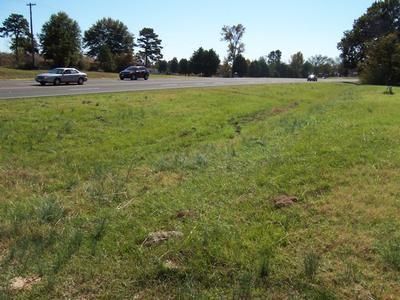 Undeveloped Land in Upshur County, Texas