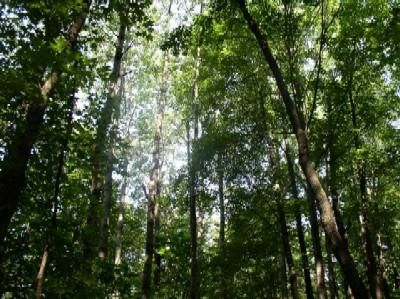 Property in Clinton County, Ohio