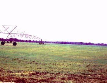 Farm Property in Red River County, Texas