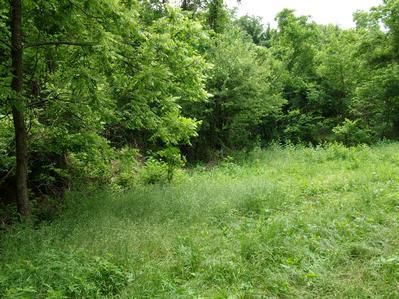 Ranch Property in McDonald County, Missouri