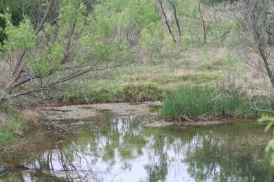Ranch Property in Kent County, Texas