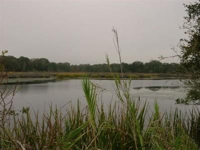 Property in Brazos County, Texas