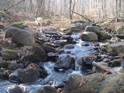 Ranch Property in Otsego County, New York