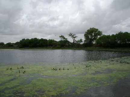 Property in Zavala County, Texas