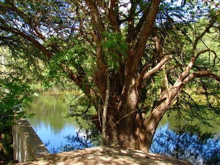 Farm Property in Real County, Texas