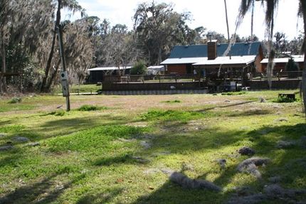Waterfront Property in Marion County, Florida