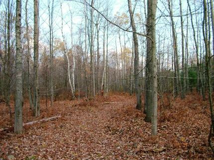 Ranch Property in Tuscola County, Michigan