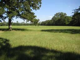 Property in Houston County, Texas