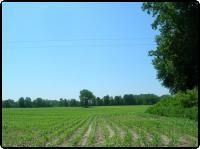 Farm Property in Ingham County, Michigan
