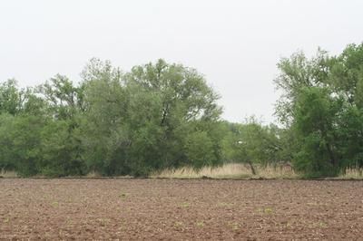 Farm Property in Hale County, Texas