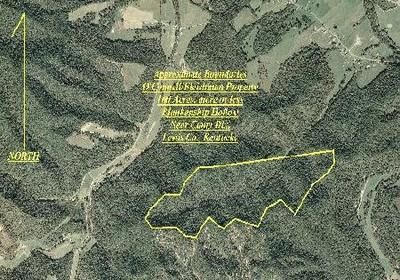 Property in Lewis County, Kentucky