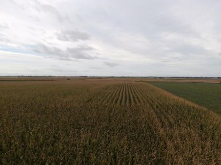 Farm Property in Cedar County, Iowa