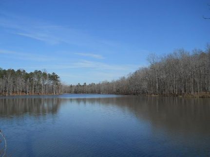 Lakefront Property in Meriwether County, Georgia
