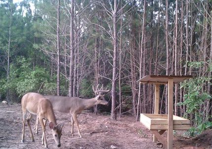 Property in Meriwether County, Georgia