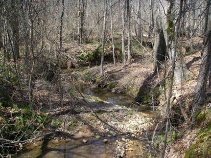 Ranch Property in Meriwether County, Georgia