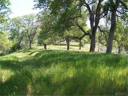 Farm Property in Mariposa County, California