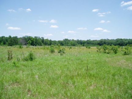 Farm Property in Trinity County, Texas