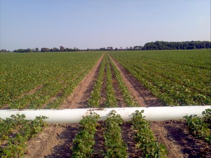 Ranch Property in Quitman County, Mississippi