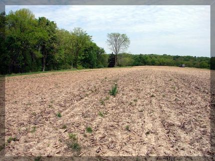 Farm Property in Henderson County, Illinois