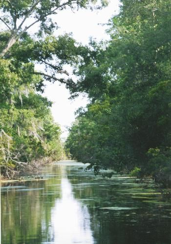 Farm Property in Terrebonne Parish, Louisiana