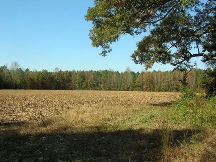Ranch Property in Franklin County, North Carolina