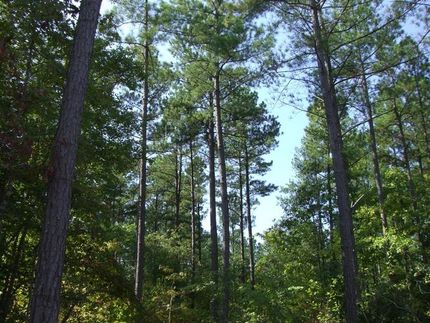 Ranch Property in Person County, North Carolina
