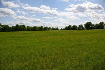 Farm Property in Monroe County, Missouri