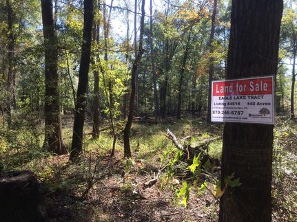 Residential Property in Bradley County, Arkansas
