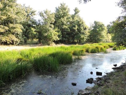 Recreational Property in Jack County, Texas