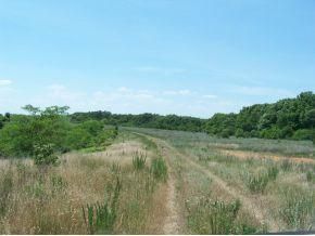Farm Property in Taney County, Missouri
