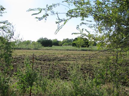 Recreational Property in Hamilton County, Texas