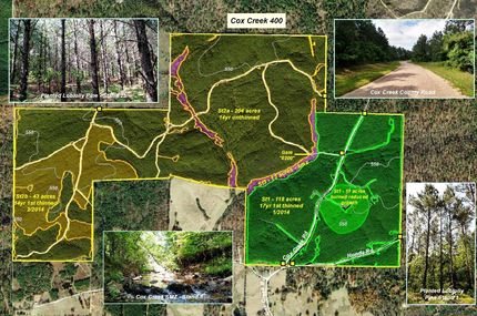 Ranch Property in Hot Spring County, Arkansas