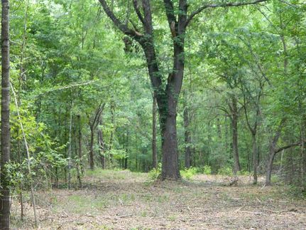 Property in Red River County, Texas