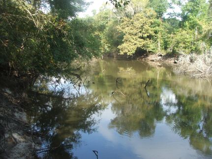 Farm Property in Bulloch County, Georgia