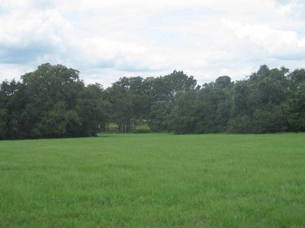 Residential Property in Washington County, Texas