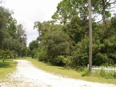 Farm Property in Levy County, Florida
